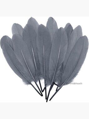 100 Natural Goose Feathers 6-8 Inch for Crafts Decor Costumes